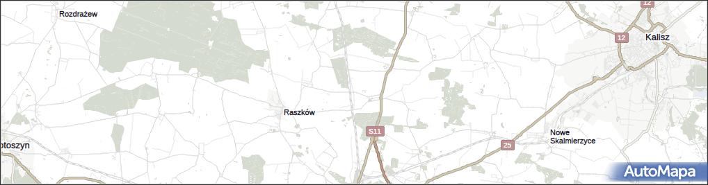 Szczury